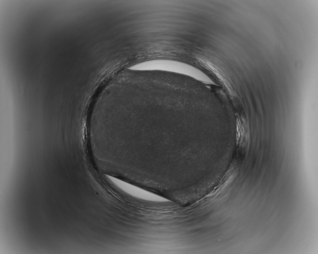 X0000095930451200801251053