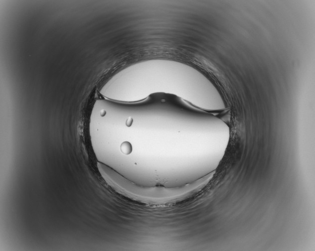 X0000095930452200801251053