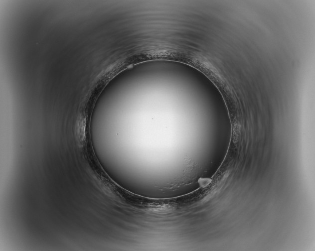 X0000095930454200801251053