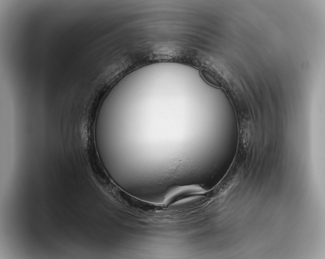 X0000095930455200801251053