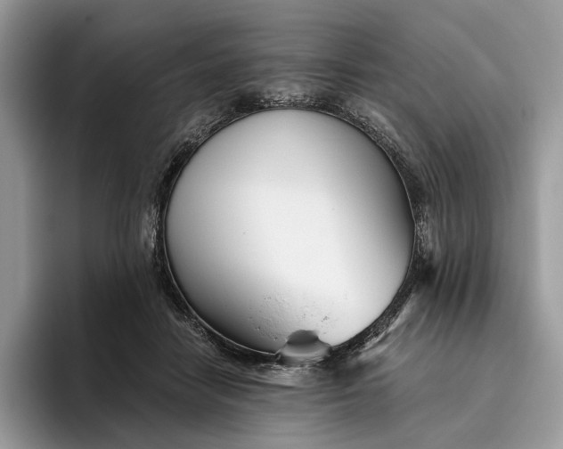 X0000095930458200801251053