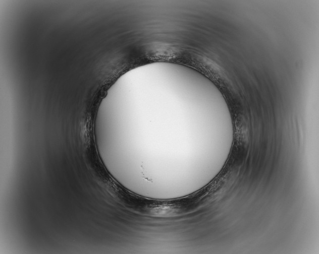 X0000095930460200801251053