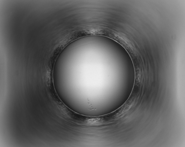X0000095930461200801251053