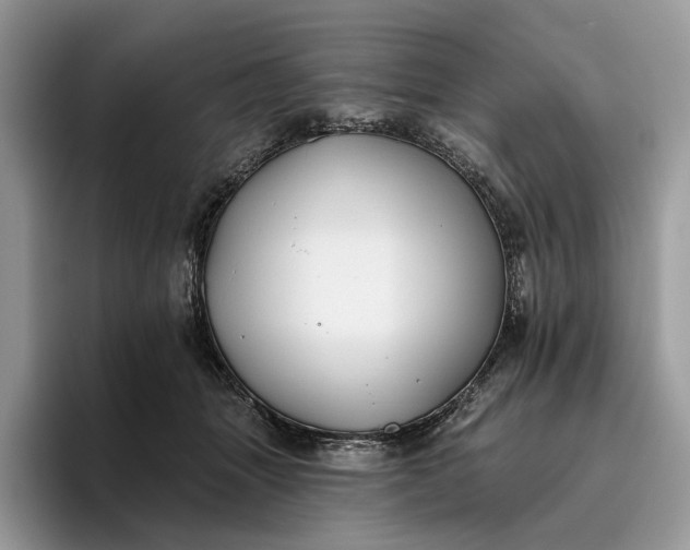 X0000095930463200801251053