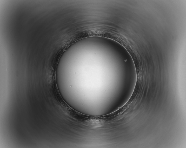X0000095930464200801251053