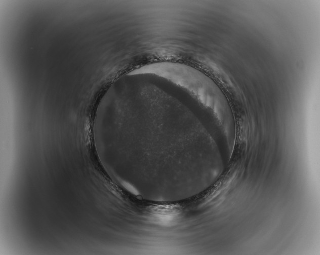 X0000095930465200801251053