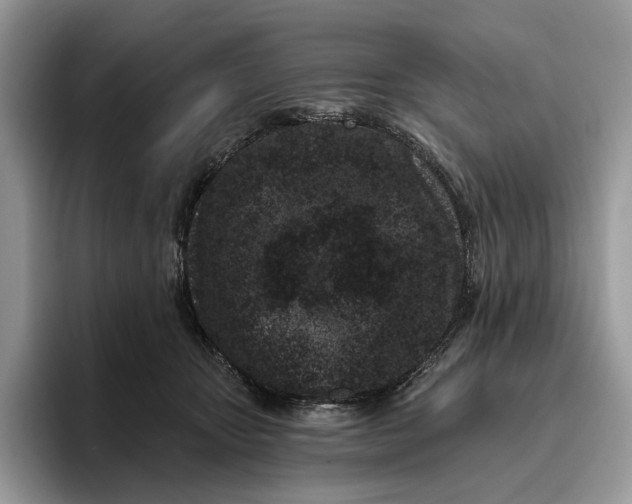 X0000095930467200801251053
