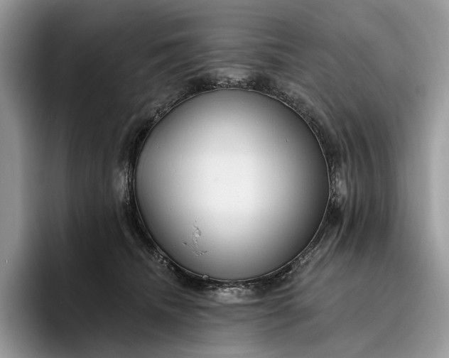 X0000095930468200801251053