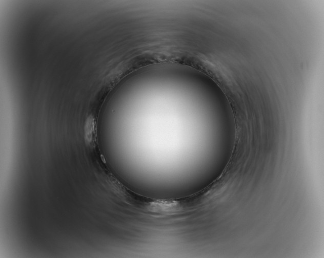 X0000095930480200801251053