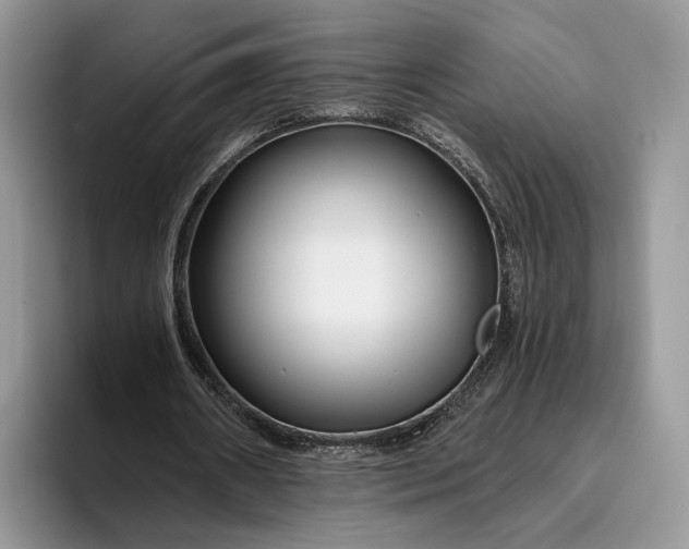 X0000095930482200801251053