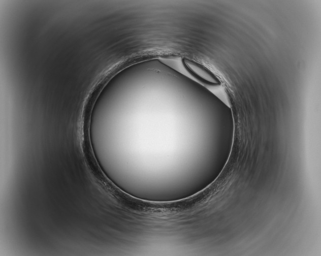 X0000095930486200801251053