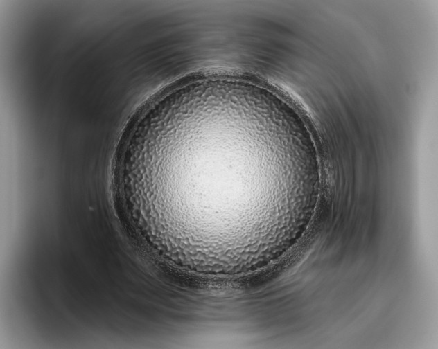 X0000095930487200801251053