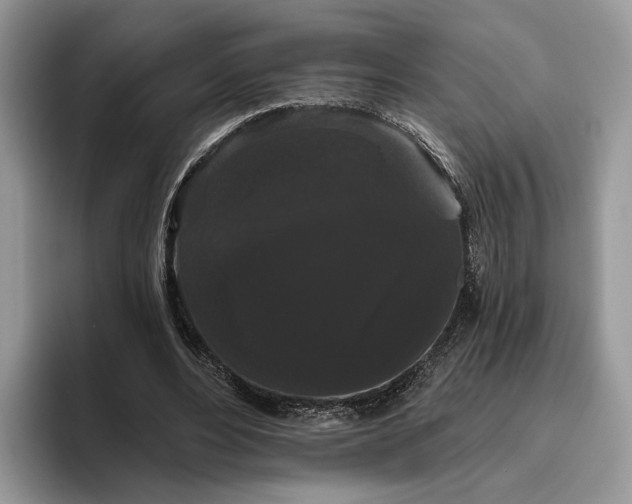 X0000095930488200801251053