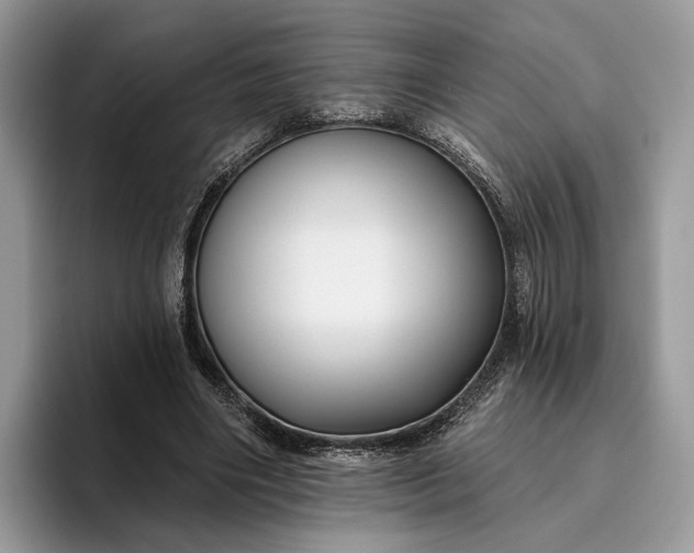 X0000095930490200801251053
