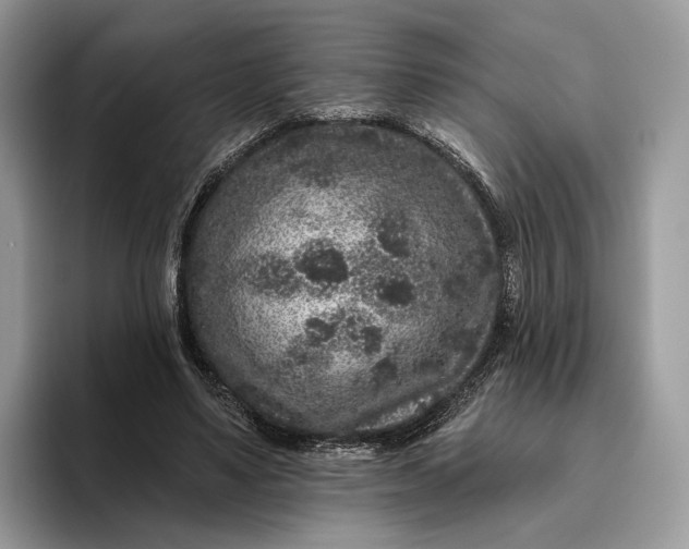 X0000095930491200801251053
