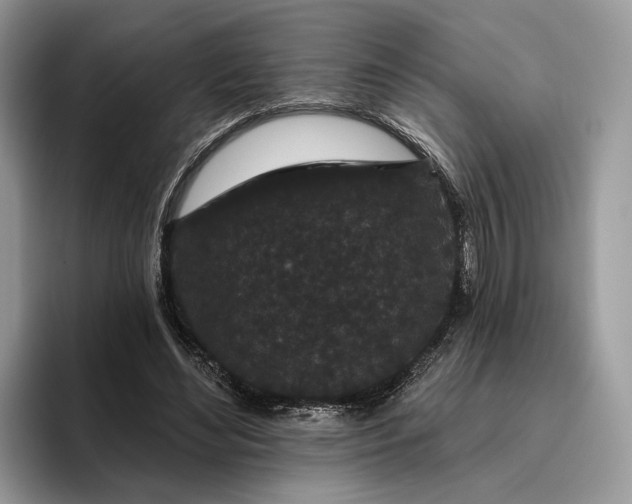 X0000095930492200801251053