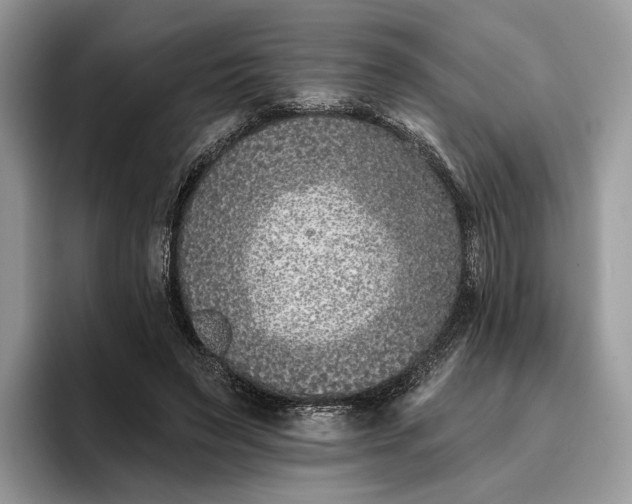 X0000095930495200801251053