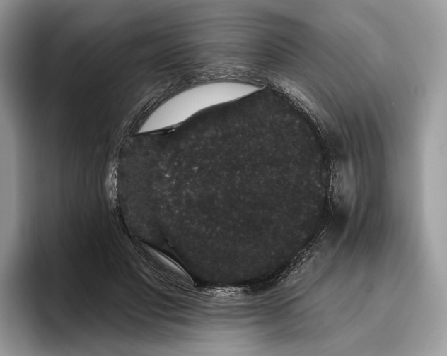 X0000095930501200801251052