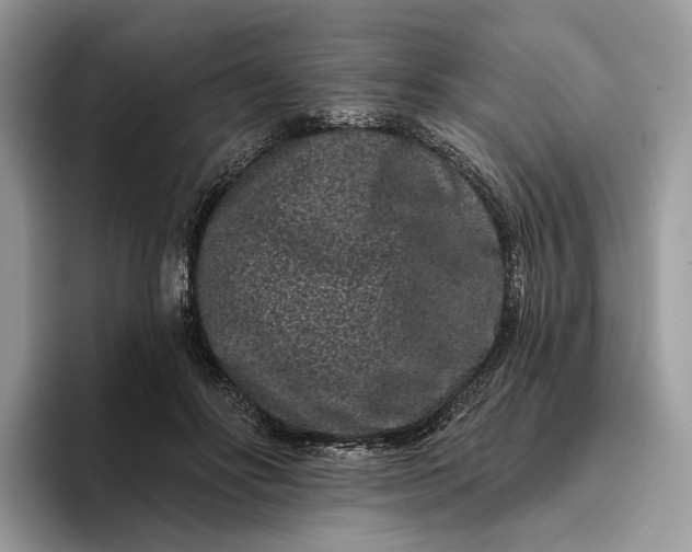 X0000095930502200801251052
