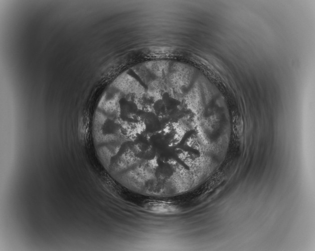 X0000095930507200801251052