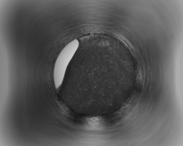 X0000095930513200801251052