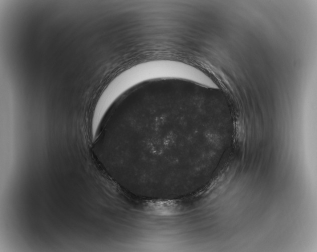 X0000095930517200801251052