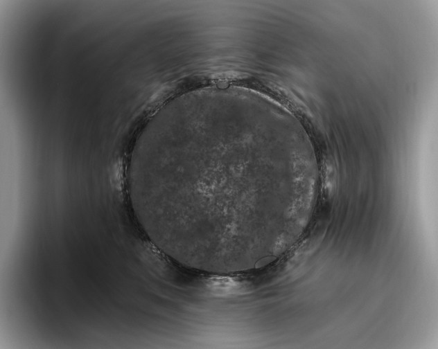 X0000095930519200801251052