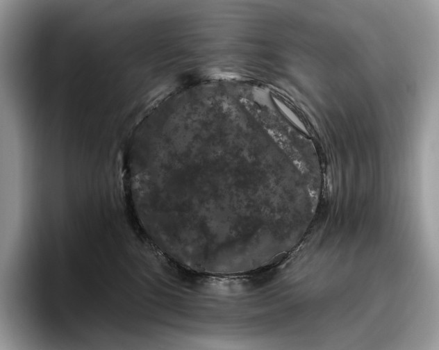 X0000095930520200801251052