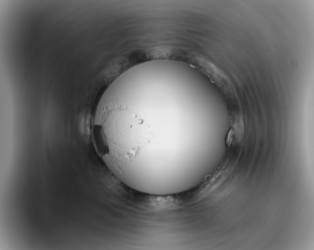 X0000095930525200801251052