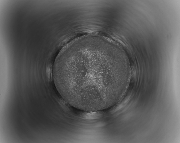 X0000095930527200801251052