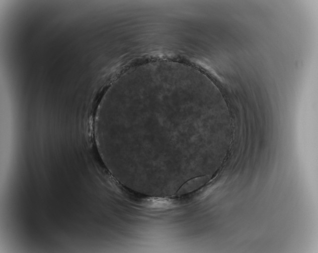 X0000095930528200801251052