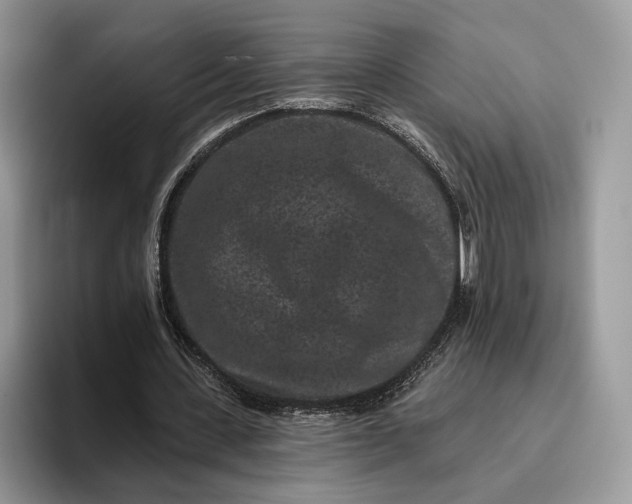 X0000095930531200801251052