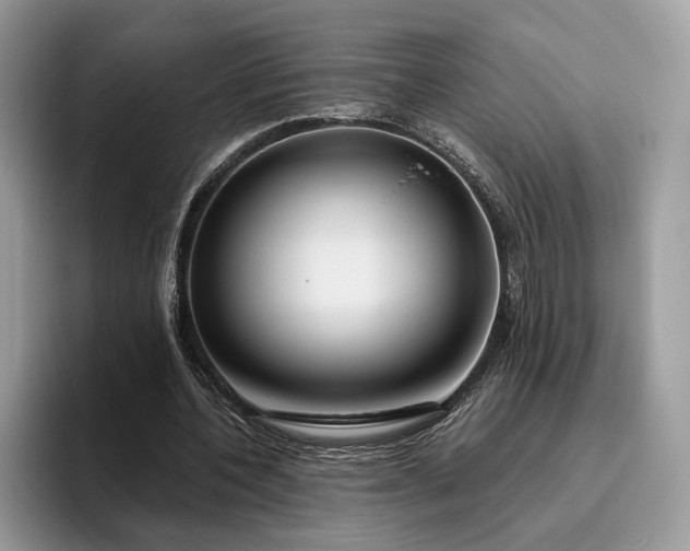 X0000095930532200801251052