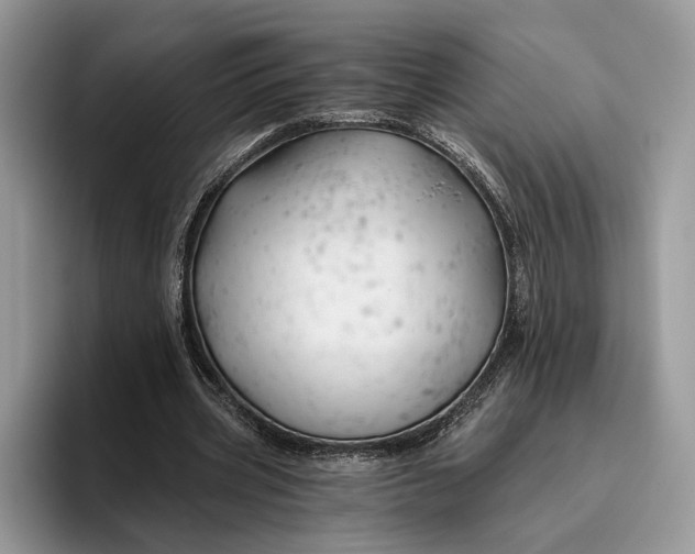 X0000095930533200801251052