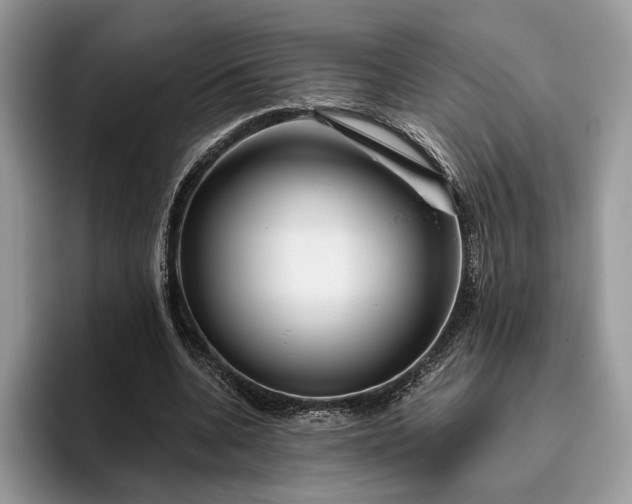 X0000095930536200801251052