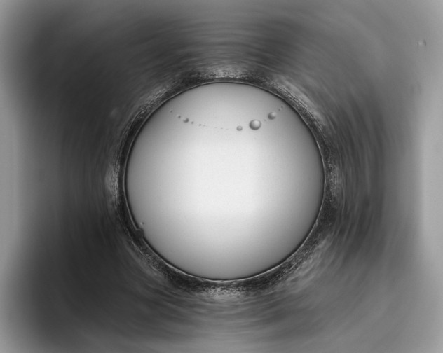 X0000095930537200801251052