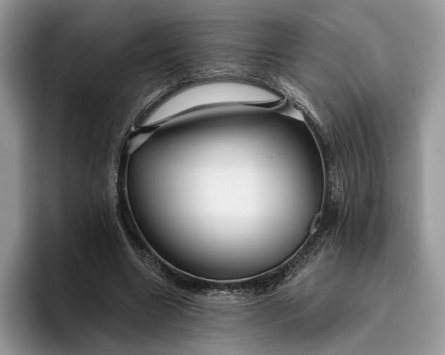 X0000095930538200801251052