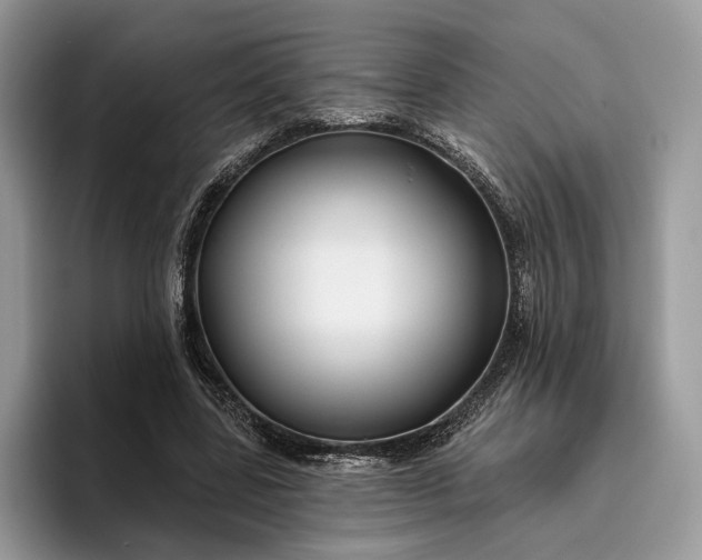 X0000095930539200801251052