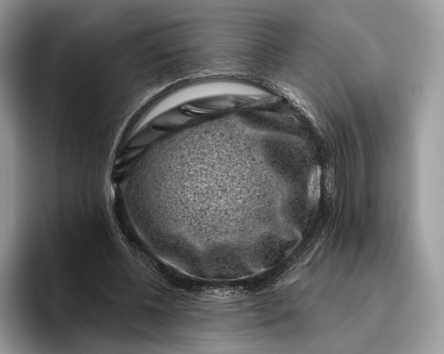 X0000095930540200801251052