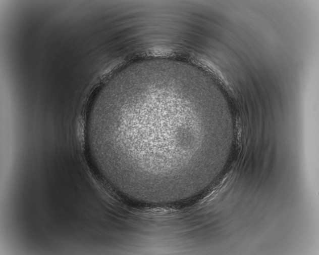 X0000095930542200801251052