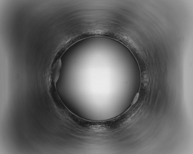 X0000095930544200801251052