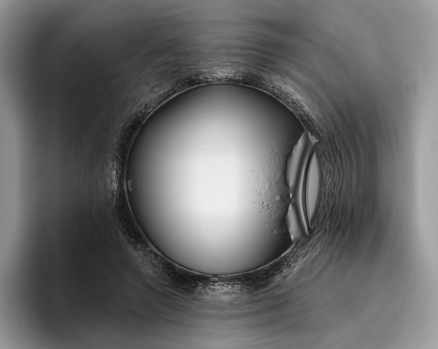 X0000095930546200801251052