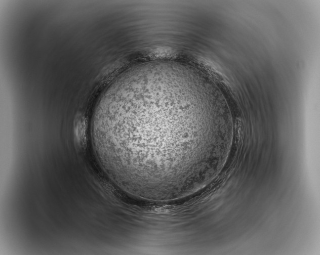 X0000095930550200801251052