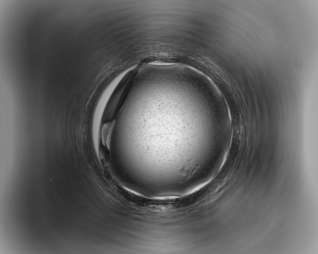 X0000095930552200801251052