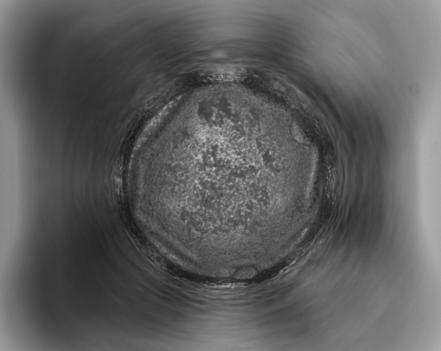 X0000095930553200801251052