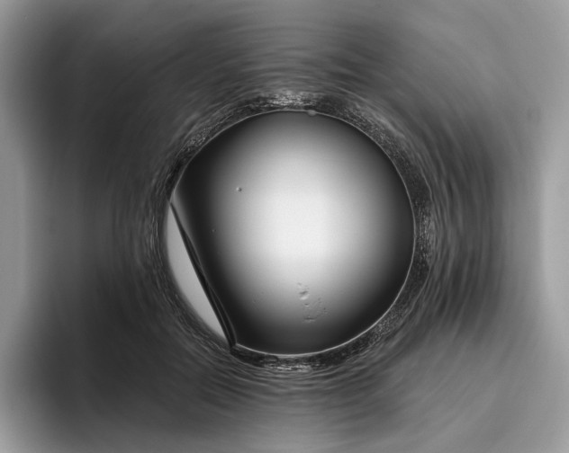 X0000095930554200801251052