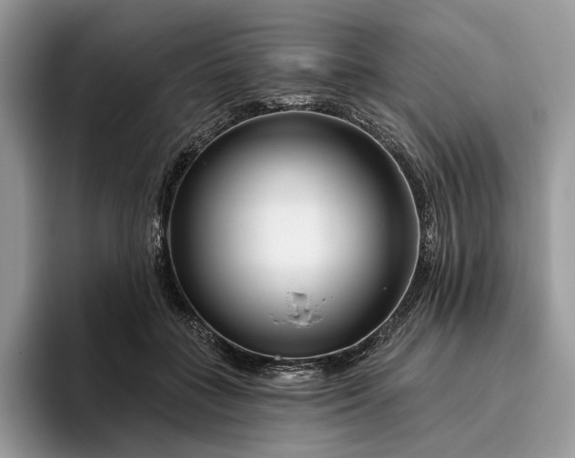 X0000095930555200801251052