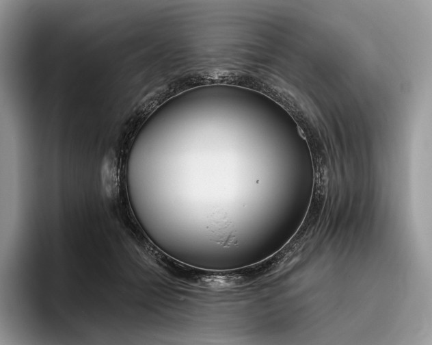 X0000095930558200801251052