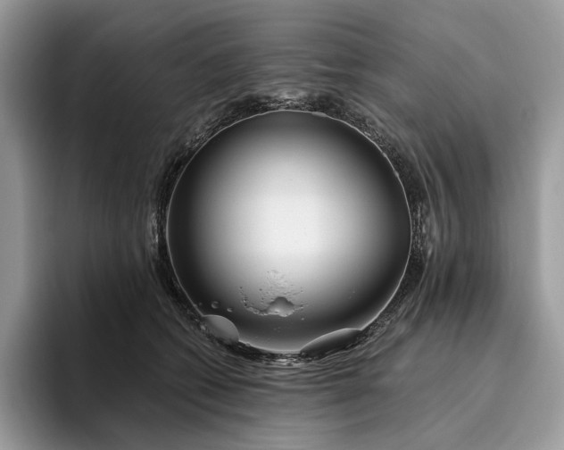 X0000095930562200801251052