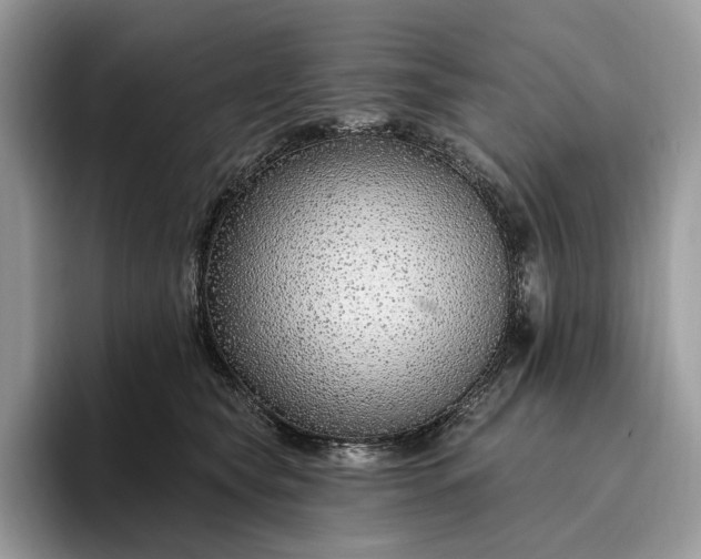 X0000095930565200801251052